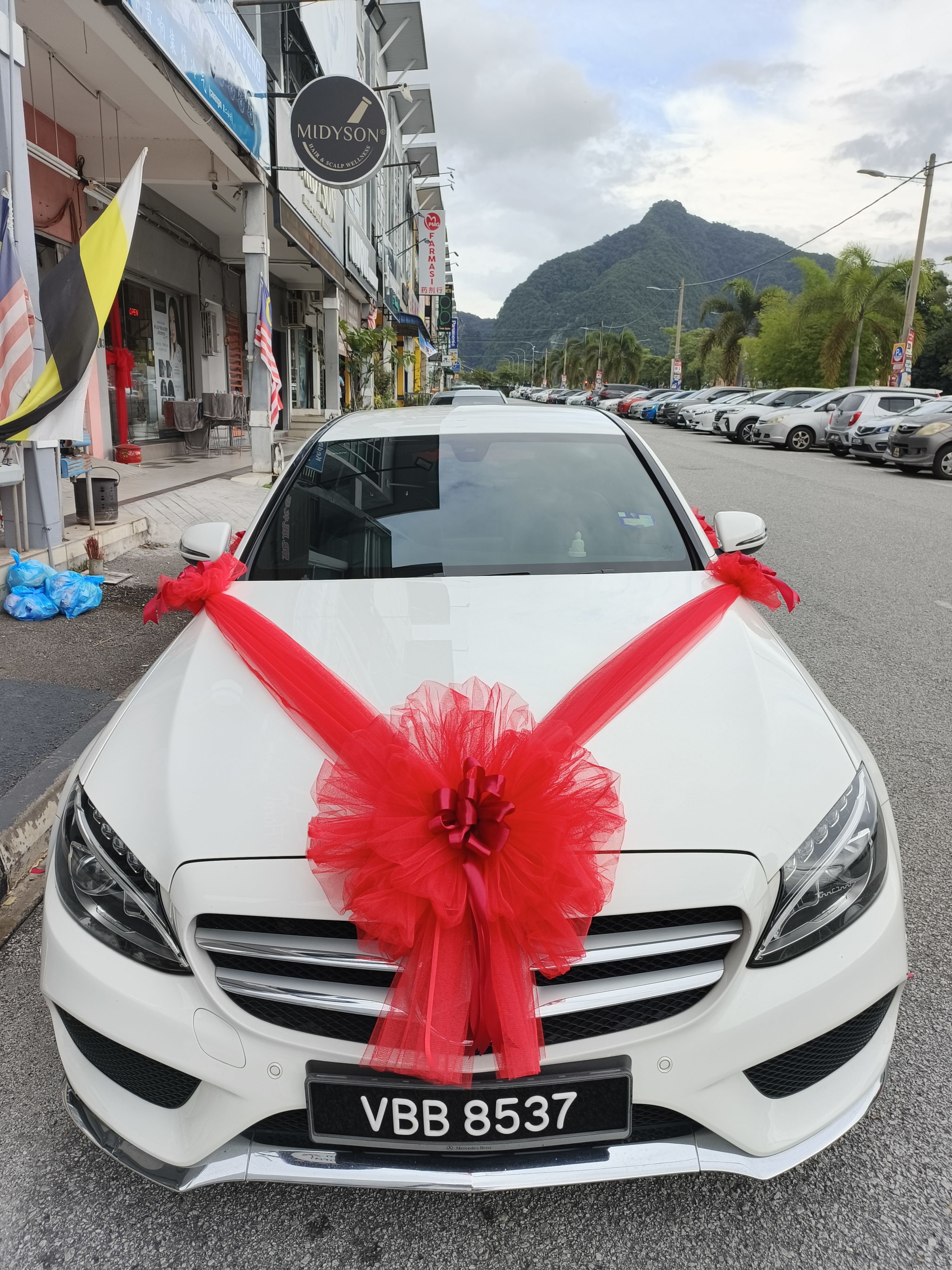 Bridal Car Decor 9